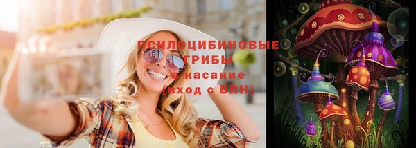 круглые Белокуриха