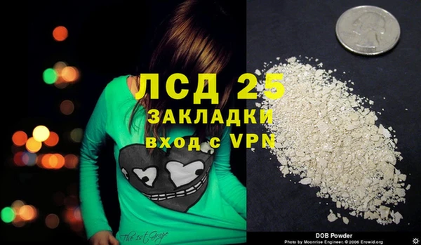 круглые Белокуриха